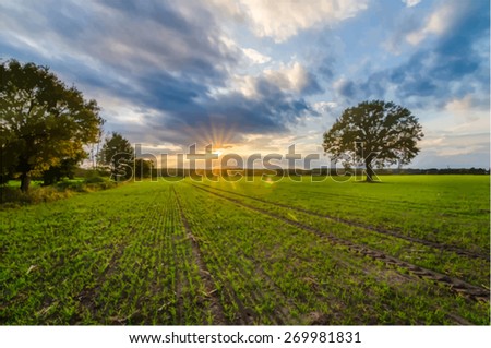 vector image of a landscape with a single tree on an acre
