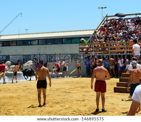 DENIA, SPAIN - JULY 7  Bull falling/jumping into the sea in the bull teasing arena after the bull run in Denia on July 7, 2013.