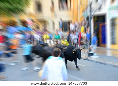 Zoom blurred bull street run