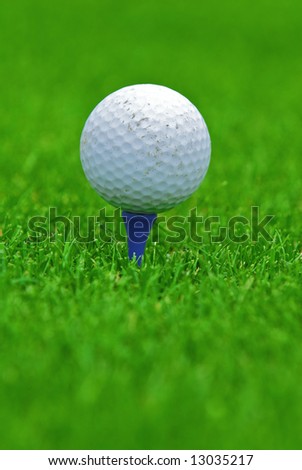 Game in the golf club against the background of the green juicy grass