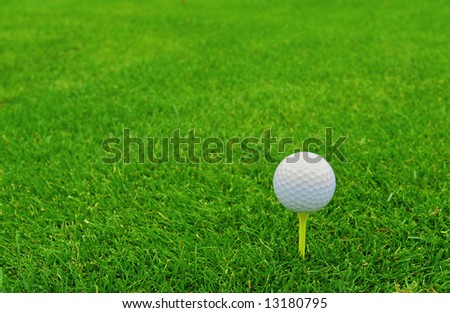 Game in the golf club against the background of the green juicy grass