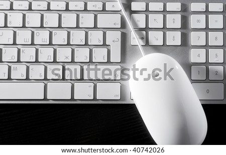 The white mouse and the keyboard for the computer