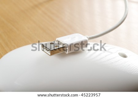 The white mouse for the computer. Usb connect.