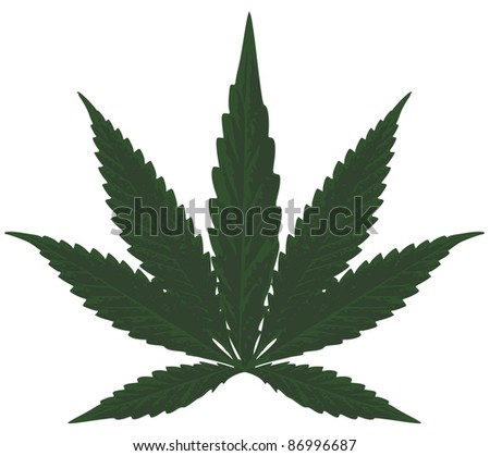 Hemp Leaves