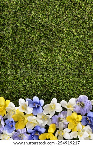 Spring background - Spring or summer flower border background with grass and flowers.  Space for copy.  Vertical format.