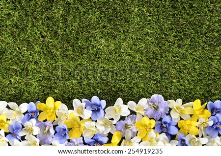 Spring background - Spring or summer flower border background with grass and flowers.  Space for copy.