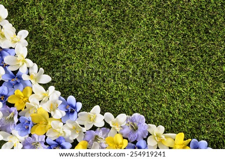 Spring or summer border background with grass and flowers.  Space for copy.