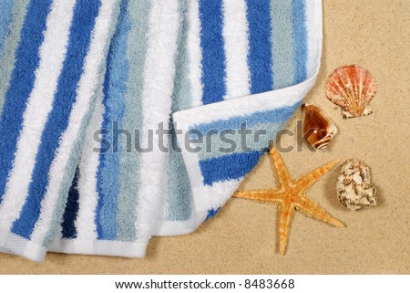 Seashore background with shells, beach towel and starfish.