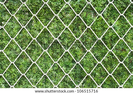 White metal net on green grass.
