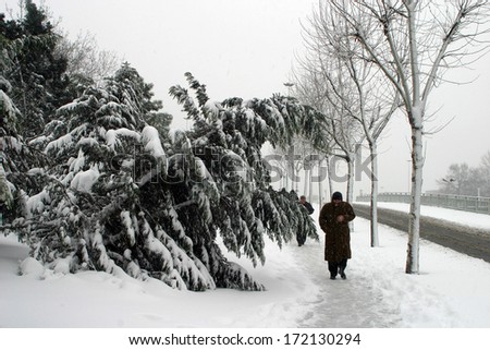 ISTANBUL, TURKEY - JANUARY 23: A snowy day in Fatih District on January 23, 2007 in Istanbul, Turkey.