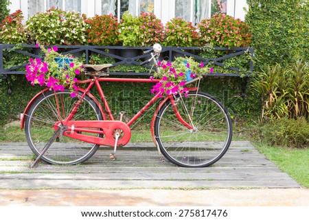 A red old vintage bicycle standing in front of vintage wall