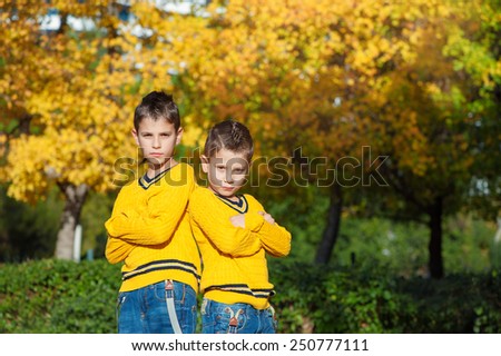 Brother\'s power. Two cute boys in the park on an autumn day standing back to back with crossed arms and looking at camera.