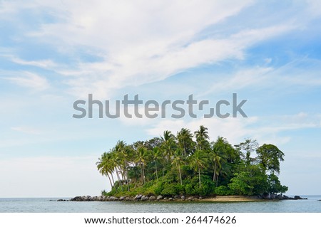 Small tropical remote island covered with palms in the ocean