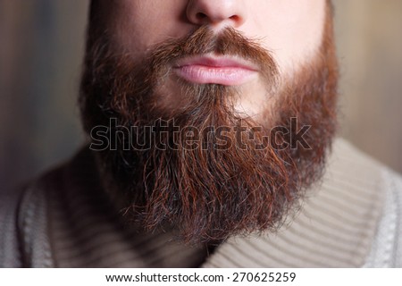 Lambersexual Perfect beard. Close-up of young bearded man.