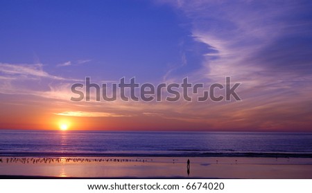 Beach sunset with a peaceful man and birds