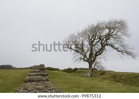 remains of Hadrian\'s wall in Northumberland