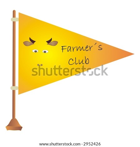 S Flag