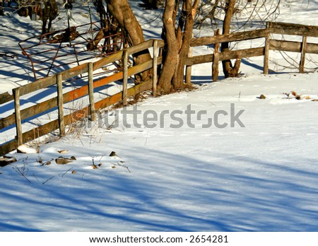 Old fence in winter