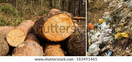 Collage showing deforestation and pollution of forest planting with household waste