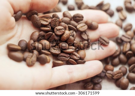 Coffee beans on a palm. Many coffee beans on hand. Female hand with coffee beans. Roasted coffee. Coffees. Barista. Scattered coffee beans. Selected coffee beans.