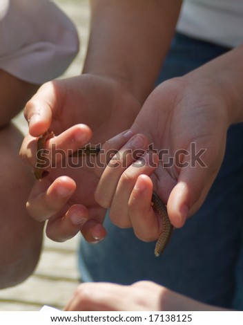 a worm in a children hands, preparing to go fishing