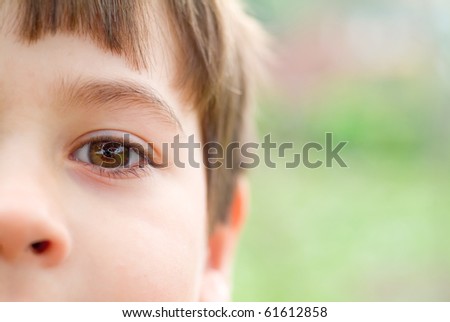 eyes closeup with focus on eyelashes and eyebrows