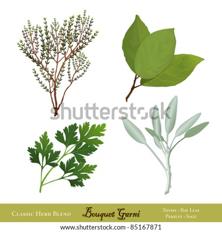stock vector vector Bouquet Garni Classic French herb blend for 