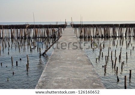Bridge passage to the sea, the surrounding mangroves and bamboo