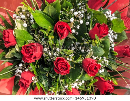 Bouquet of red roses with gypsophila on a red background