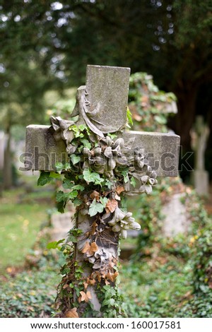 A headstone in a cemetery overgrown with plant