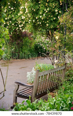 Wooden bench inside a rose garden with wet path