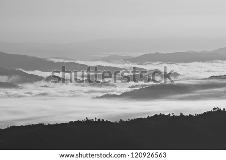 Mist clothed the mountain. Black and white.