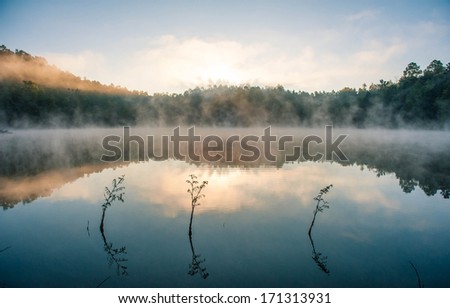 Misty Swamp with sunrise, beautiful morning