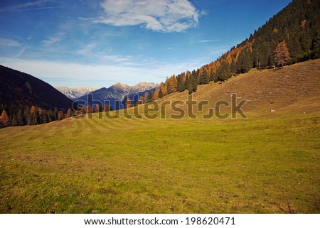 Open field with forest in the Alps Image of the beautiful alps area.