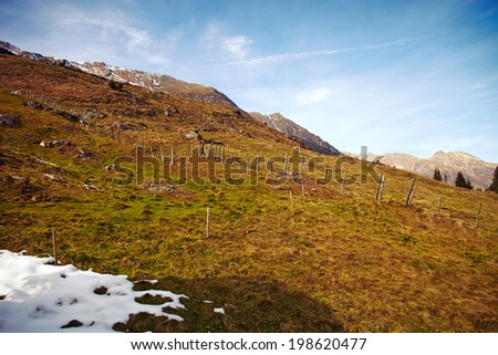 Hiking path on a mountain with snow in spring Image of the beautiful alps area.
