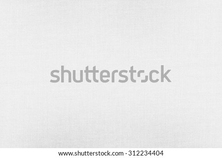 white paper texture background with delicate grid pattern, a4 format paper