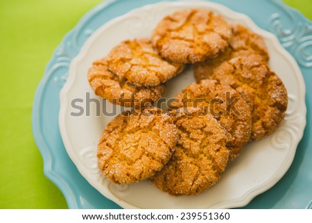 Oatmeal Cookies with Warm Fall Colors. selective focus
