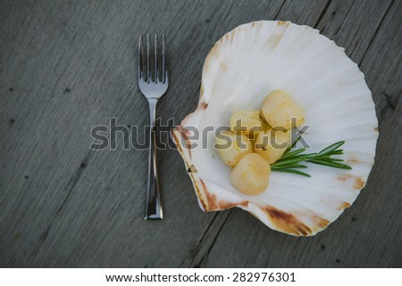 Delicious sea scallop served on a scallop shell on wooden background