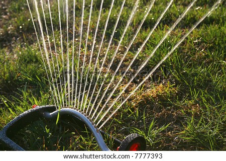 lawn sprinkler with water shooting out of it