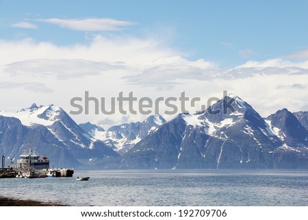 Arctic mountains and fjord in northern Norway at summer