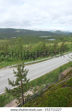 Landscape with forest and road, top view