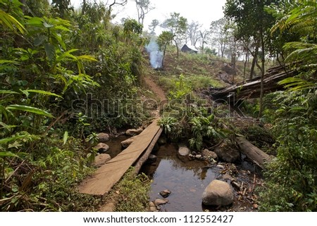 Jungle path, Western High Plateau, Cameroon