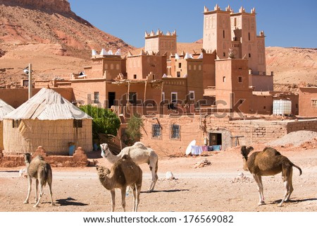 Camels In Front Of Kasbah, Near Ait Benhaddou, High Atlas, Morocco