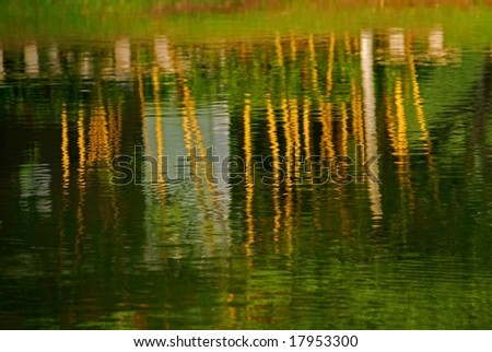 reflection of yellow bamboo plant in the lakes