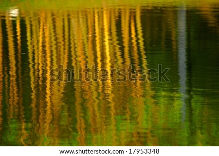 reflection of yellow bamboo plant in the lakes