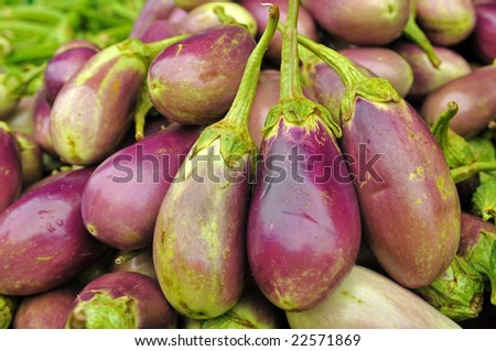 egg plant in the market
