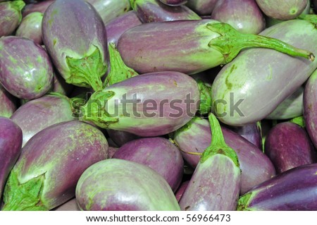 egg plant in the market