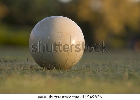 VOLLEY BALL ON GRASS