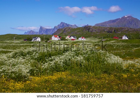 Scenic norwegian village on Lofoten islands in Norway on sunny summer day