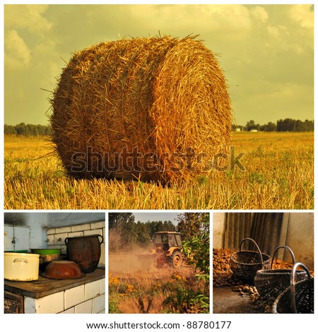 Agriculture and rural life